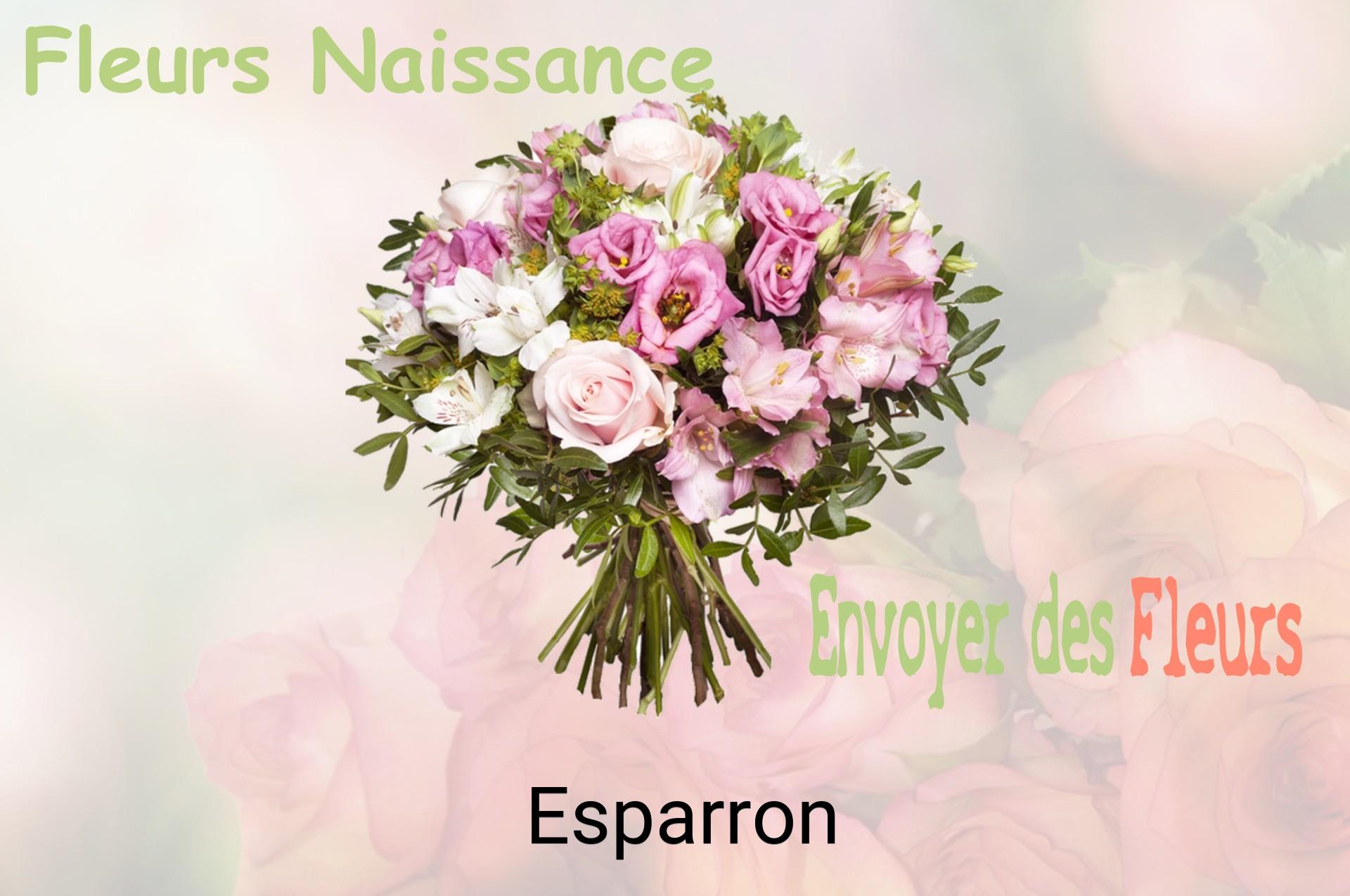 Bouquet de fleurs de naissance livré à Esparron