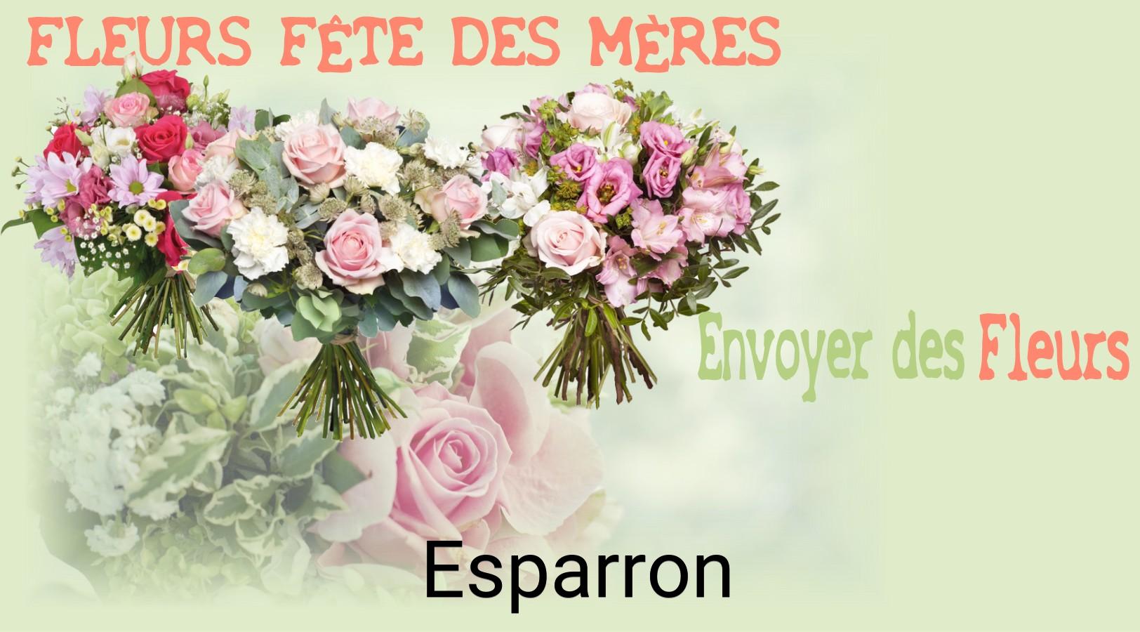 Bouquet de Fête des Mères livré à Esparron